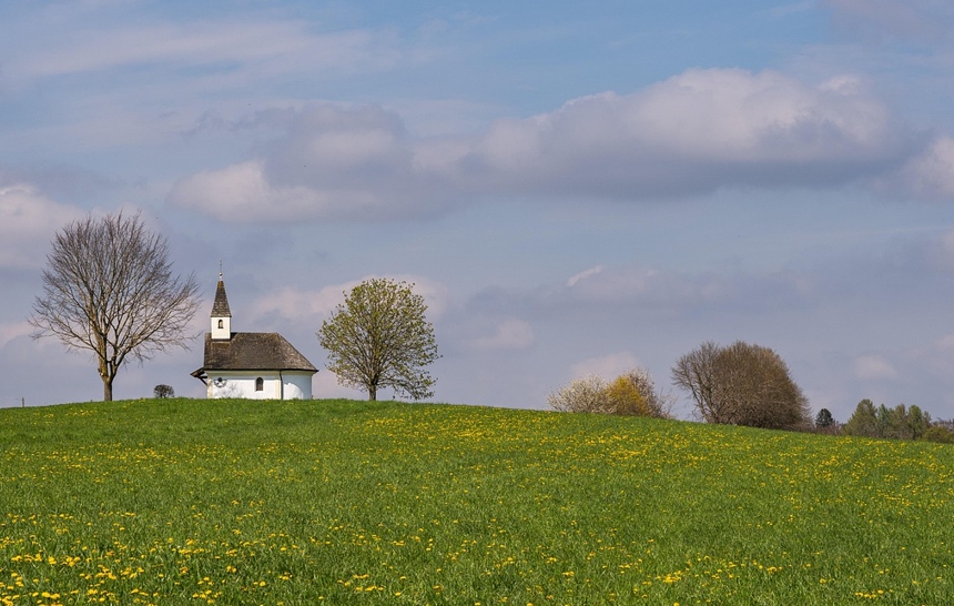 자연 - 삶의 리듬을 되찾다