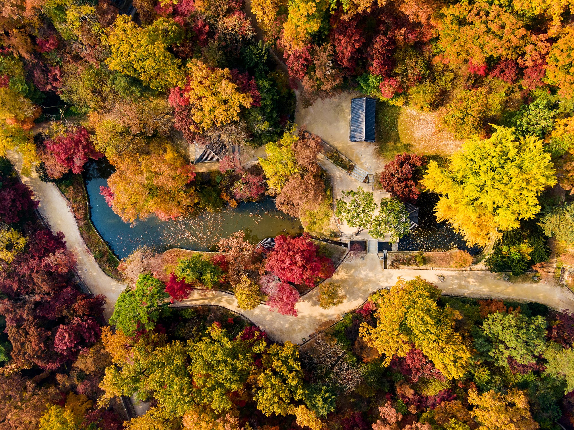 창덕궁(비원)_관람지
