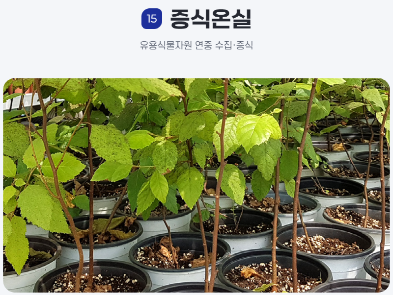 물맑음 수목원