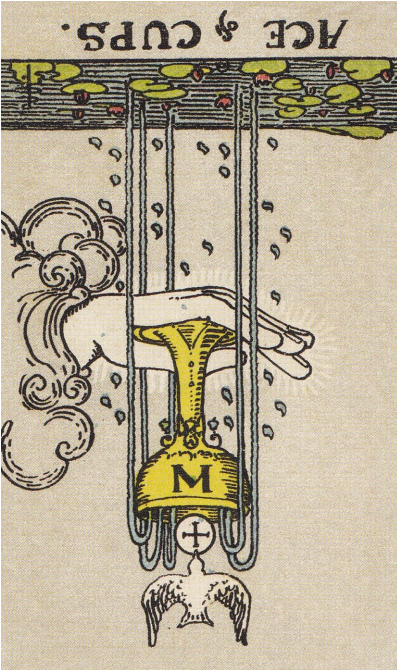 에이스 오브 컵 역방향