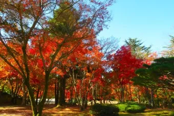 가을 단풍여행 베스트 명소 시니어 추천 코스 완벽 가이드_14