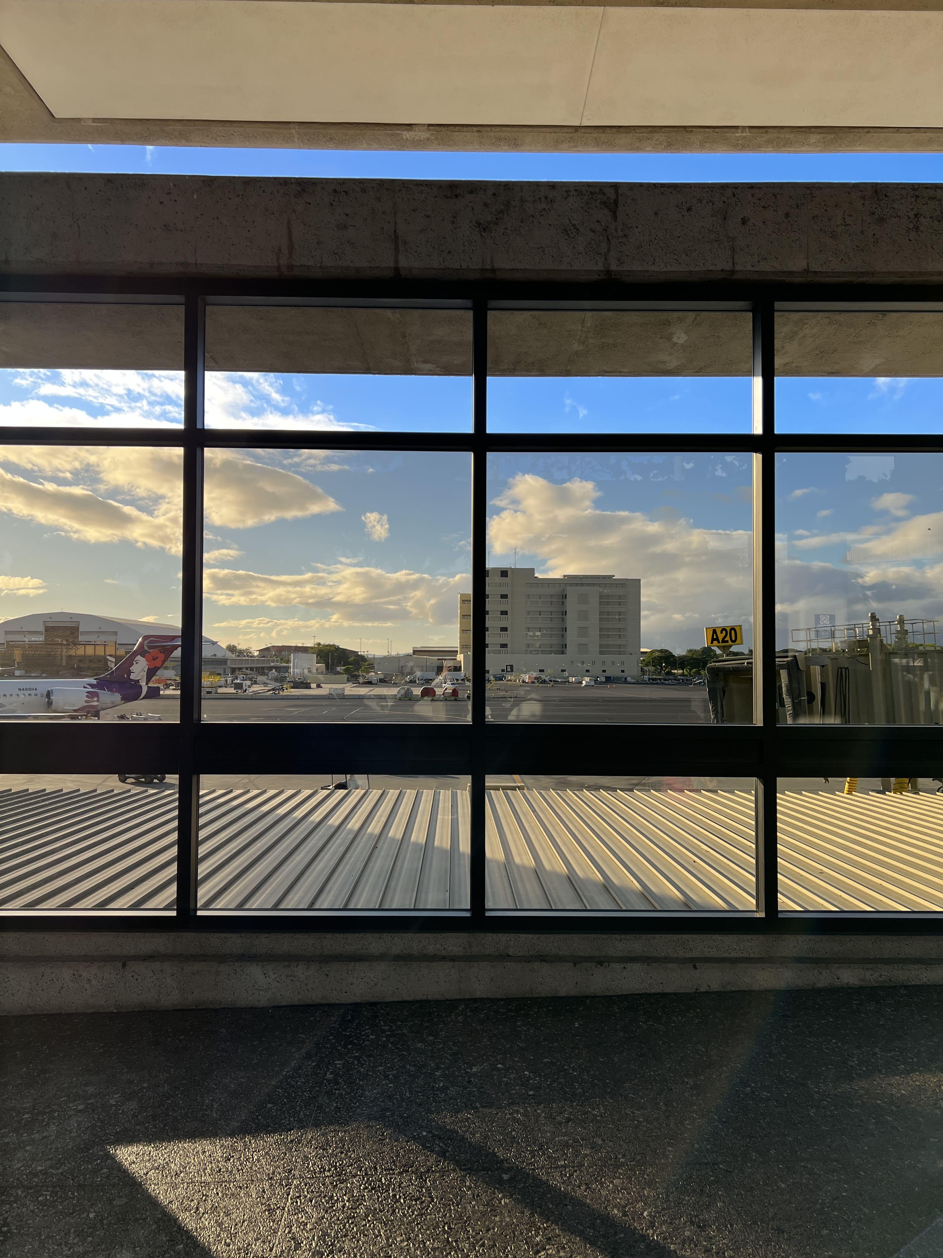 크리스마스-하와이여행-힐튼-와이키키