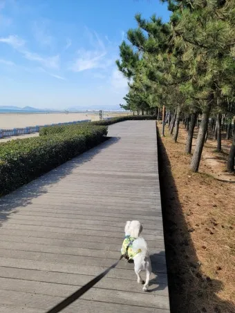 부산 바다 산책 해변 코스 노인 친화 맛집 주차_19