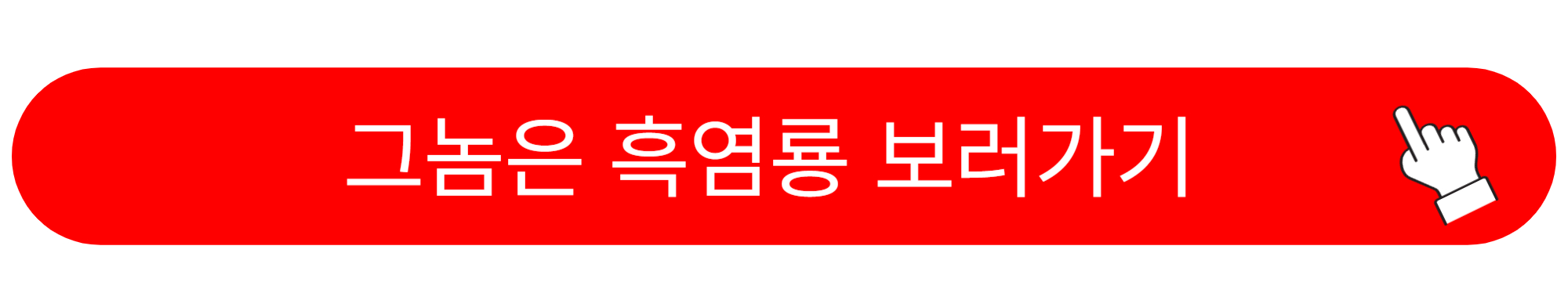 그놈은 흑염룡 출연진 흑염룡 뜻