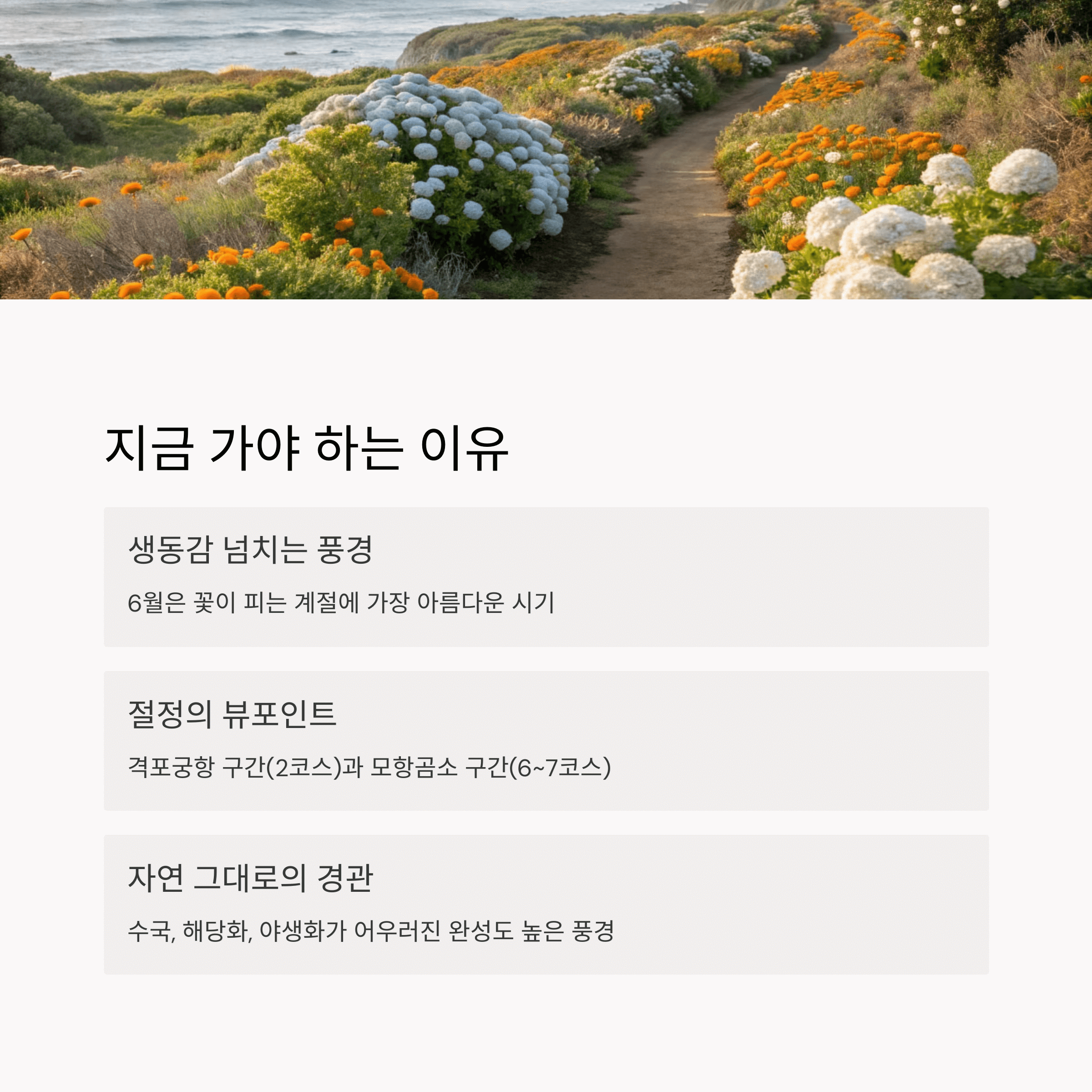 꽃이 만개한 바닷길과 흙길