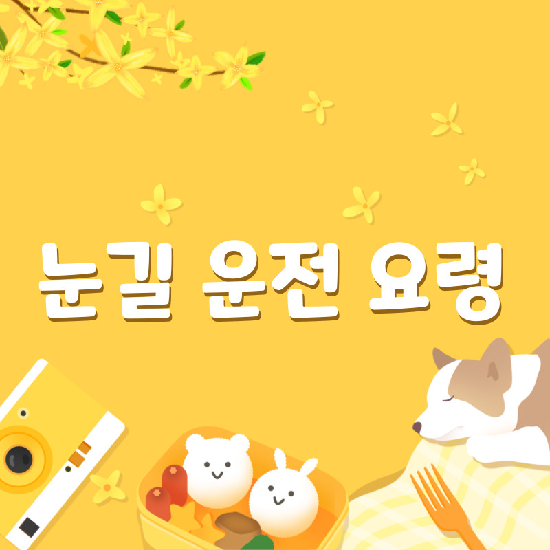 눈길 운전(1)