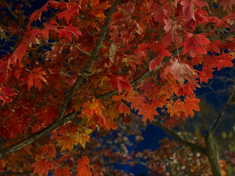 하이그라운드 제빵소