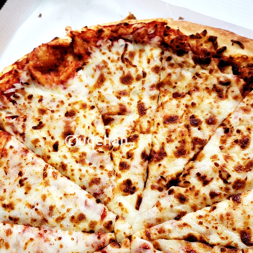 코스트코 치즈 피자를 확대한 사진이다.