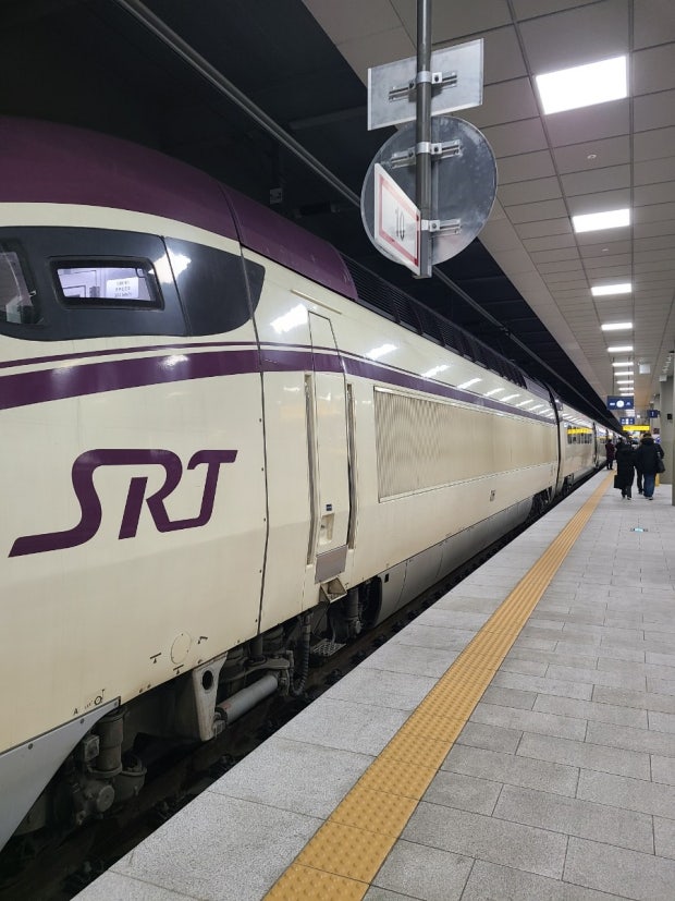 srt 관련 사진 첨부