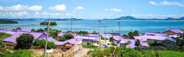 신안 퍼플섬 여행 가이드 - 보랏빛 낭만 속으로!