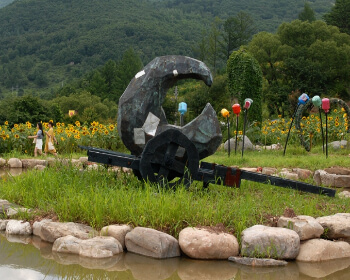 태백 해바라기 축제_9