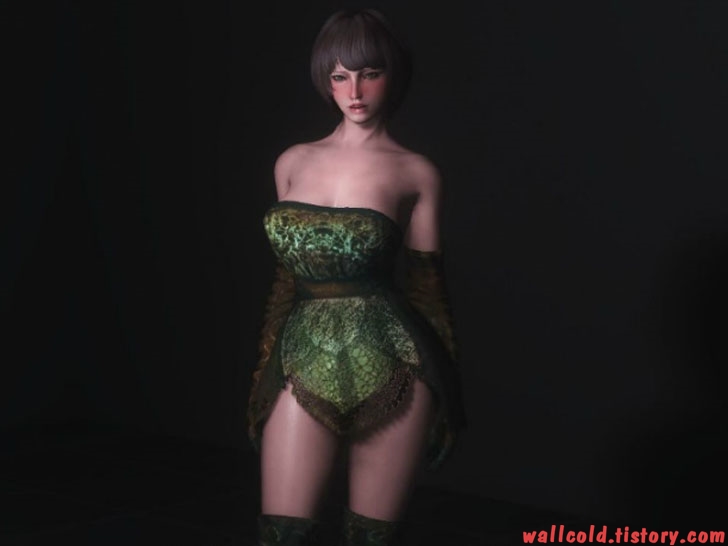 스카이림 의상 - 로브 의상 dream burrows sage outfit skyrim mod 002