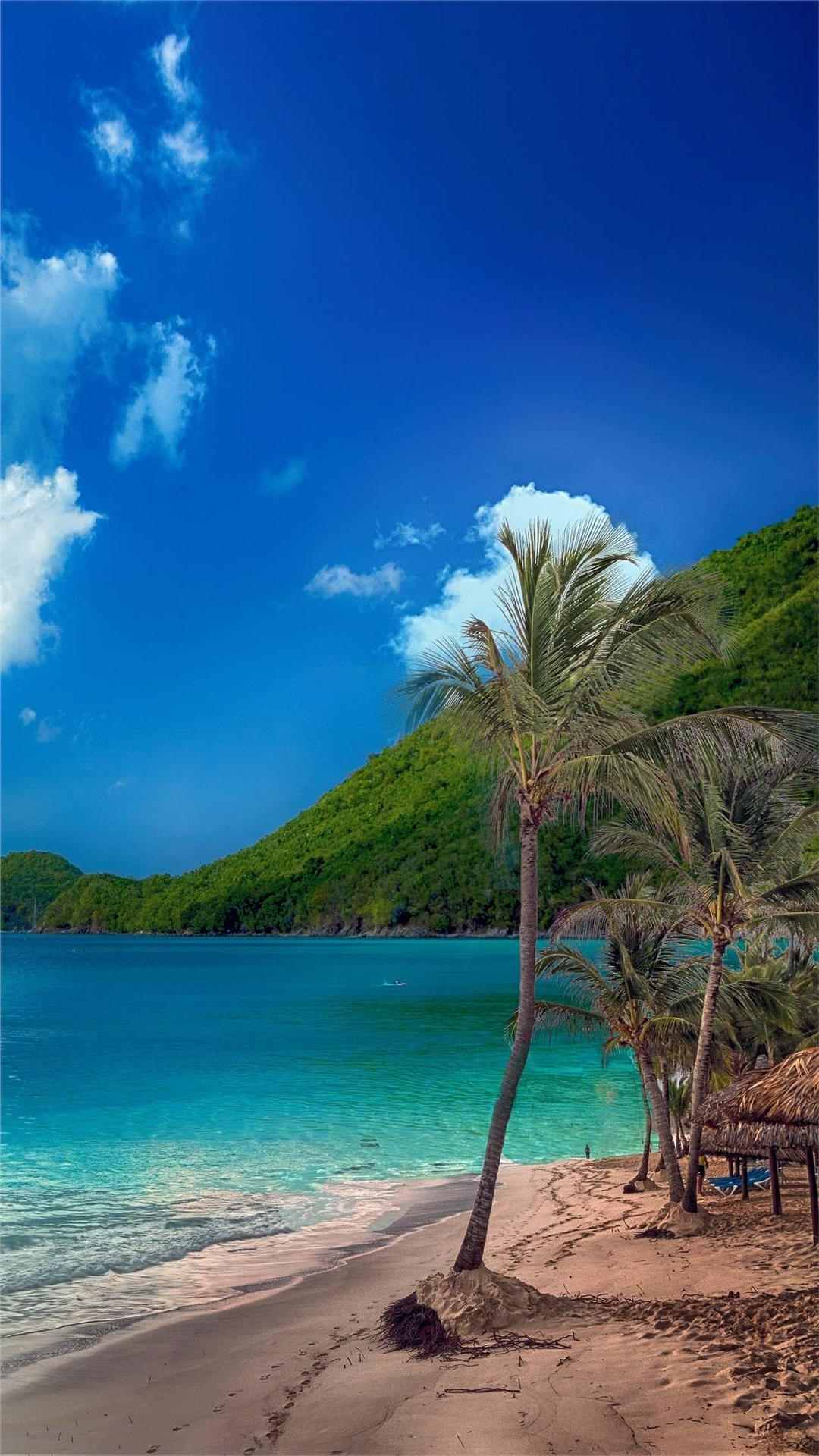 iPhone Wallpaper
