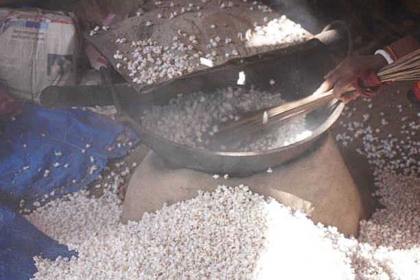 화학 비료 남용을 줄이는 생분해성 센서의 역할