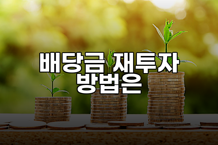 배당금 재투자 방법은