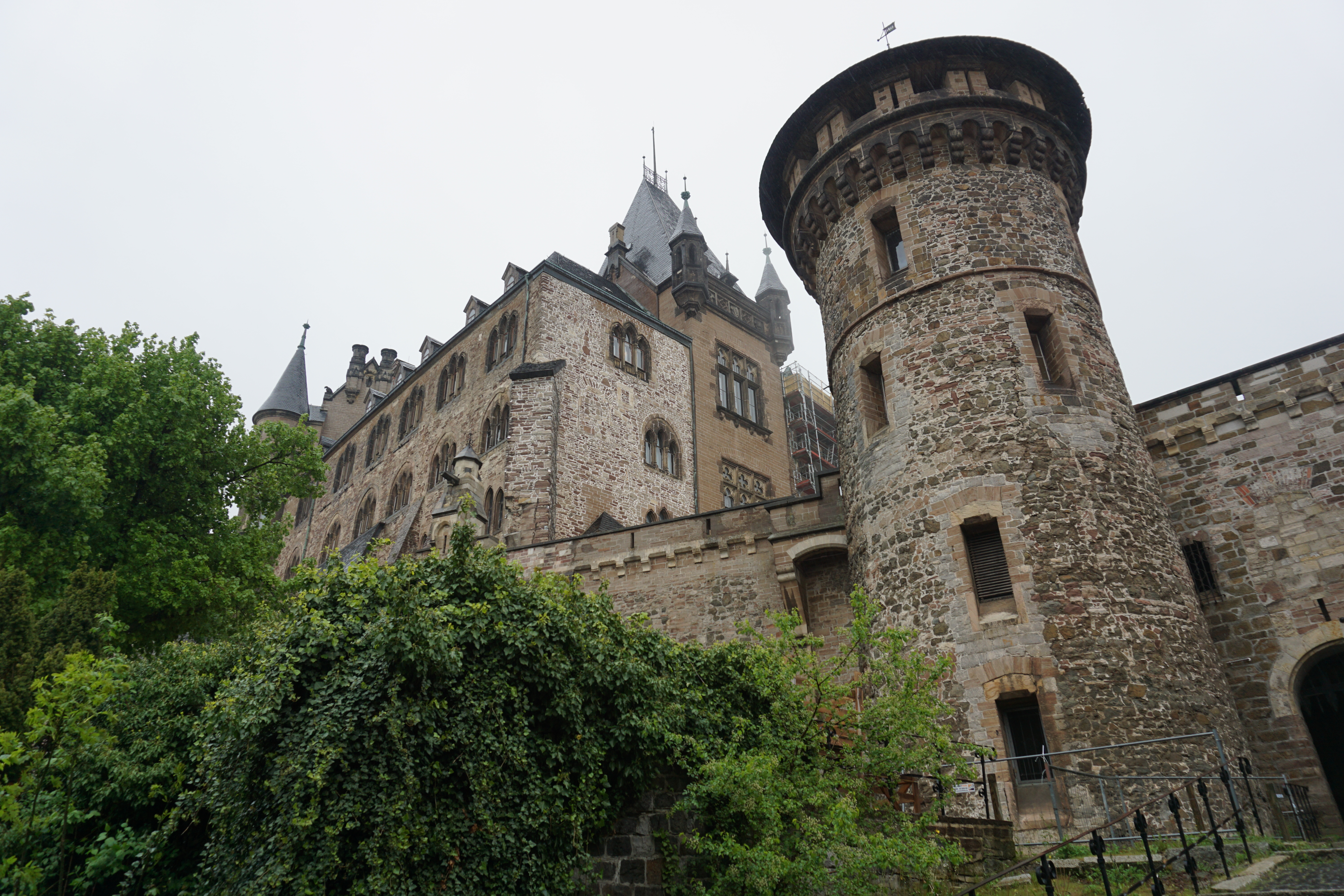 베르기네로데 사진