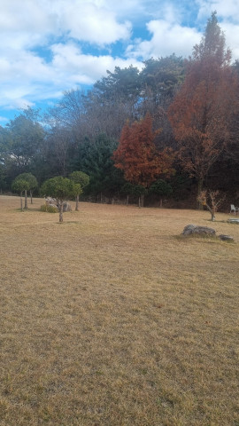 안동 뒤뜰카페 돈까스 맛집 임동 임하댐 근처 식당 추천