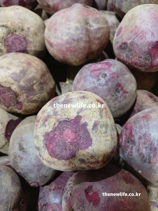 비트 효능 혈관 건강 질산염