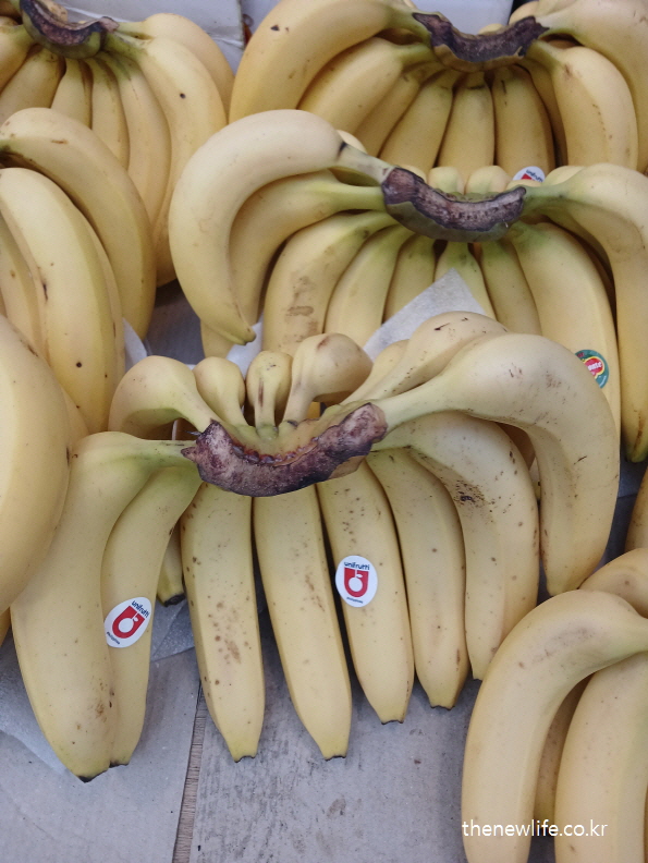 Bunches of bananas displayed for sale, recommended for restoring potassium during heat exhaustion./더위로 지쳤을 때 기력 회복에 도움을 주는 바나나 – 포타슘이 풍부한 과일