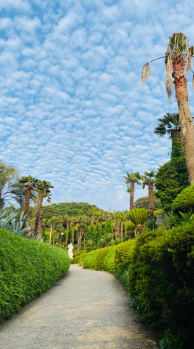 거제 외도 보타니아 배 시간표&amp;#44; 배타는 곳&amp;#44; 입장료&amp;#44; 예약 방법 총정리