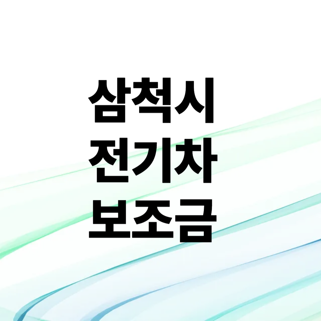 삼척시 전기차 보조금