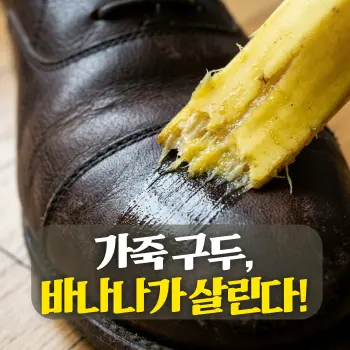 가죽 구두, 바나나가 살린다!
짙은 색 가죽 구두의 매끄러운 표면 위로 바나나 껍질의 노란 단면이 지나가며 광택이 살아나는 경계면의 **초밀착 클로즈업(Extreme Close-up)**.