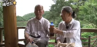 노부모 댁 선물 식물추천 물주기간단 종류 배치관리 팁_10