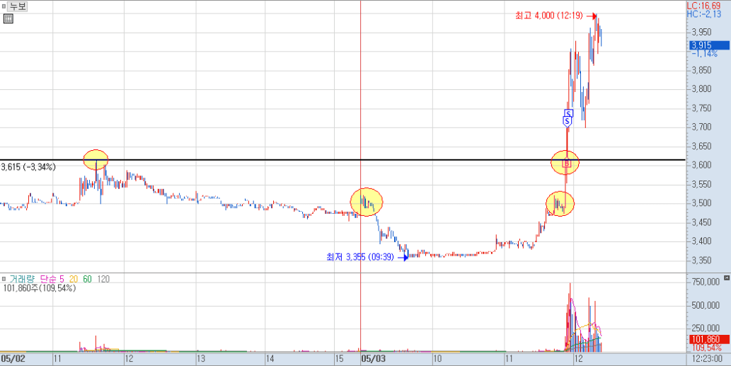 누보 분봉 차트