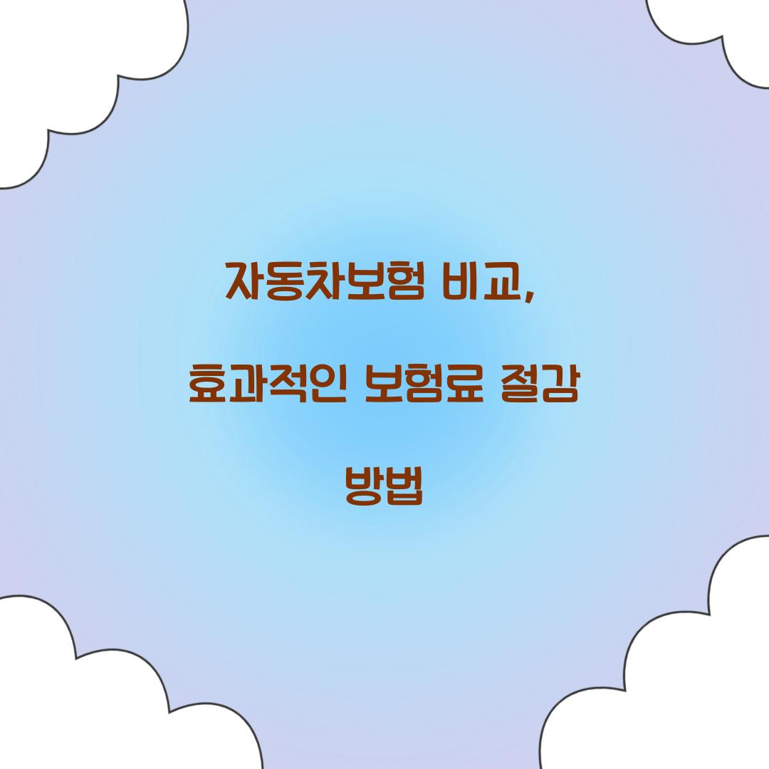 자동차보험 비교