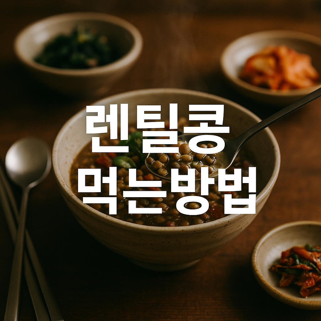 렌틸콩 먹는방법