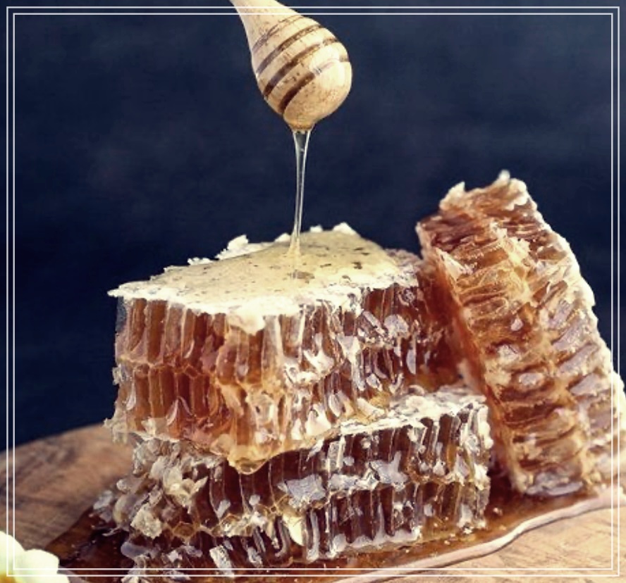 피나무꿀 효능 먹는방법 총정리.