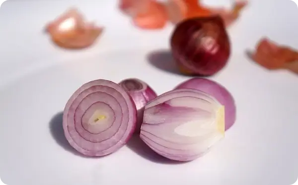 양파장아찌 담그는 법