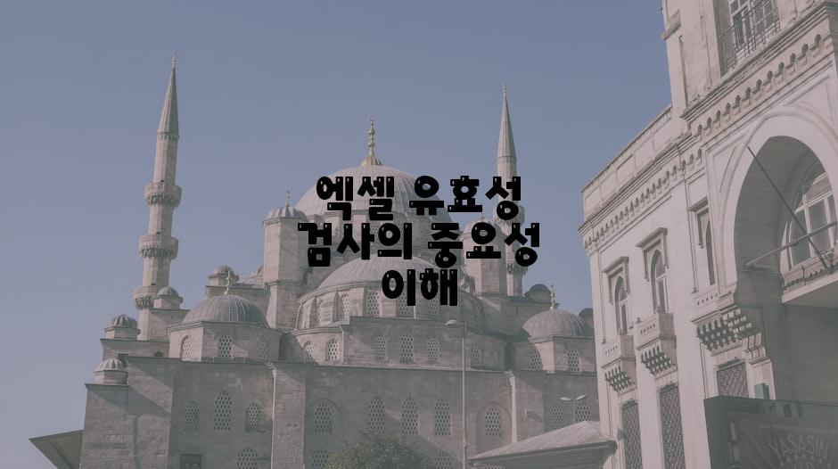 엑셀 유효성 검사의 중요성 이해