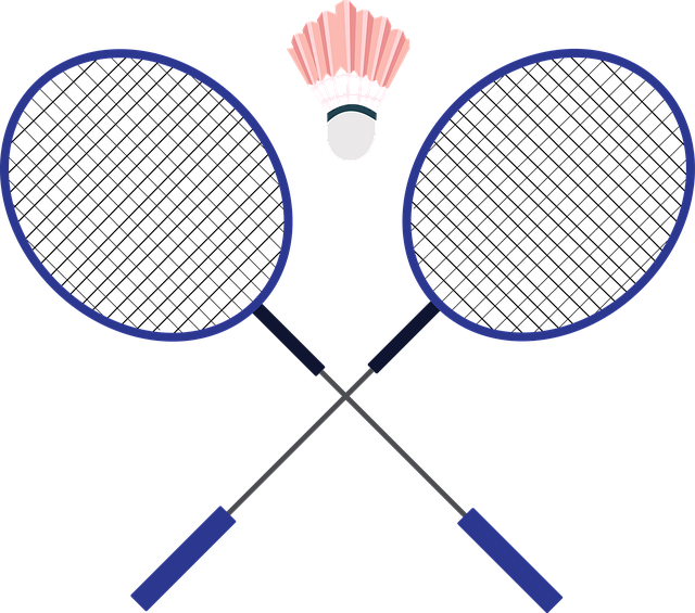 베드민턴 경기규칙 사진