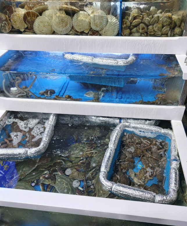 6시내고향 하남덕풍시장 오징어물회 도다리물회