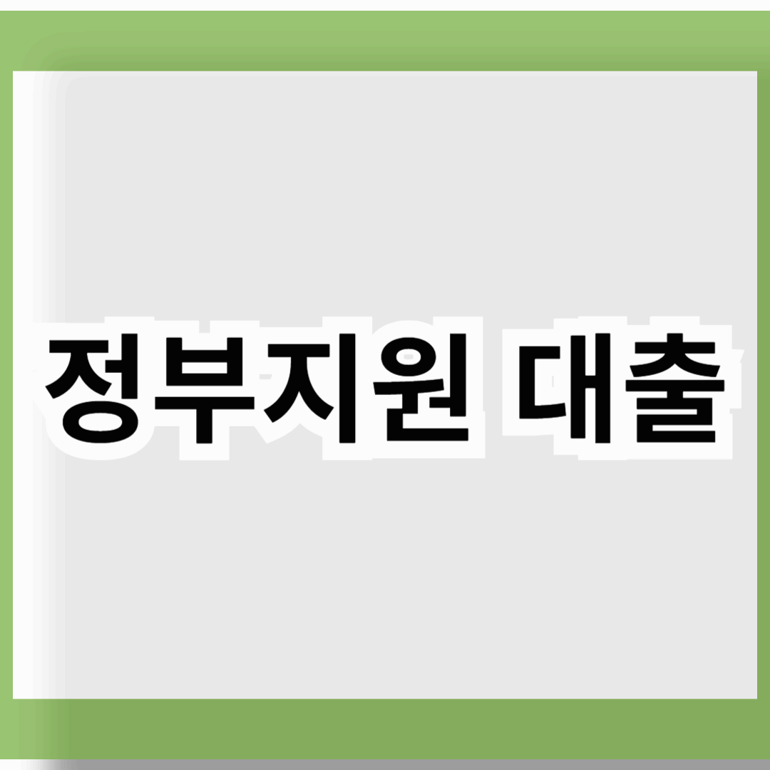 정부지원 대출