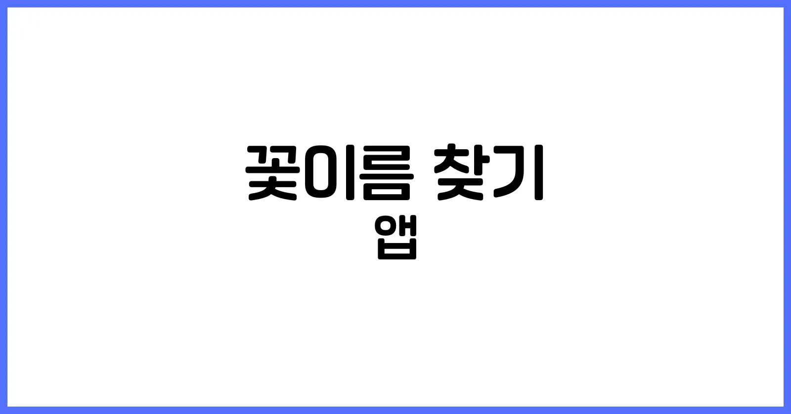 꽃이름 찾기 앱