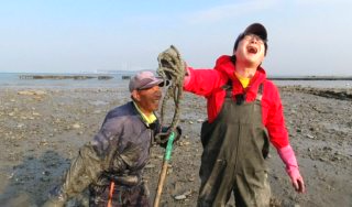 차경아 최석구 17살 연하 아내 나이 직업 결혼 자녀 프로필