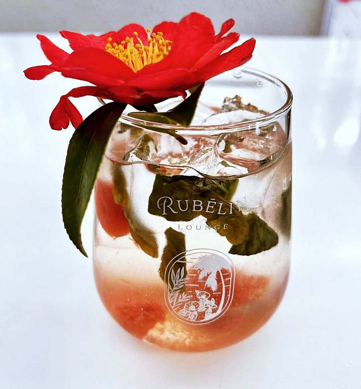 생방송오늘저녁 제주 인생샷 핫스팟 크림 쇼콜라 커피 디저트 3,500평 동백 가드닝 베이커리 카페 맛집 추천