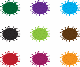 마이코플라즈마 폐렴 mycoplasma pneumonia