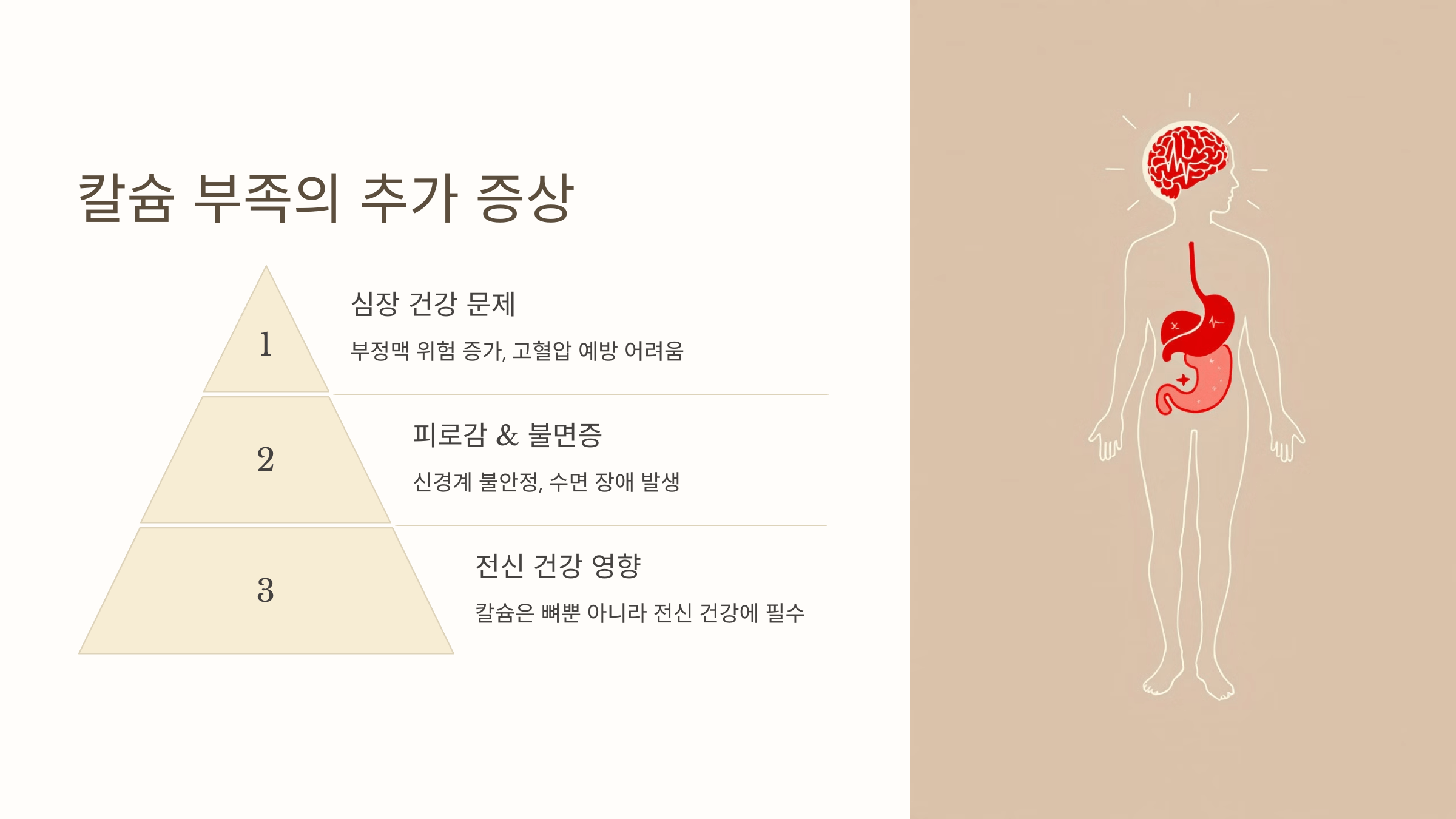 칼슘과 관련된 사진입니다.