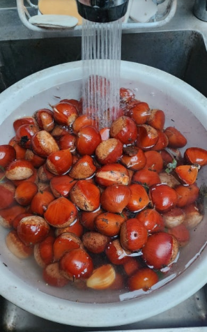 소금물로 &lsquo;떠오르는 밤&rsquo; 가려내기