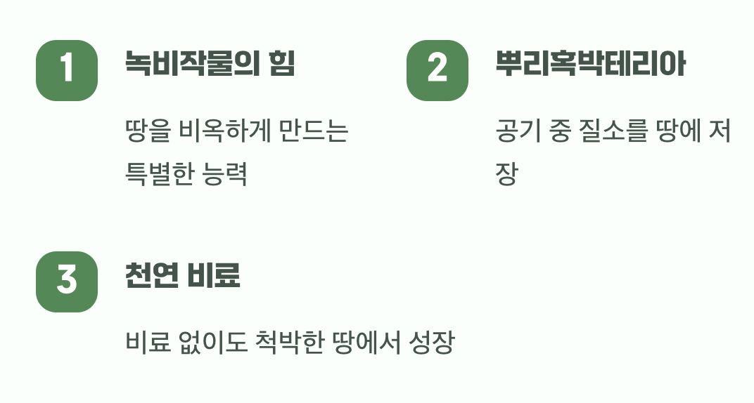 그냥 예쁜 꽃이 아니에요