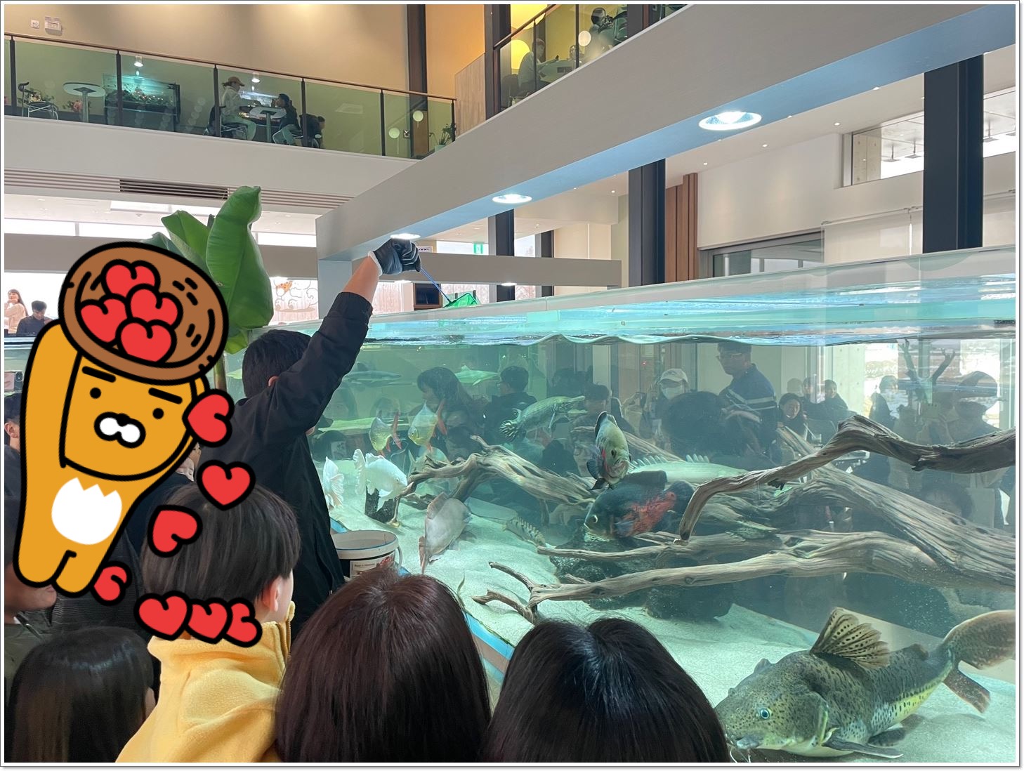 수족관-물고기들-먹이주는사람-구경하는사람들