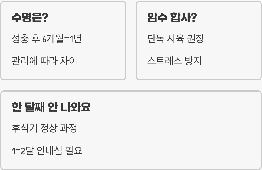 헤라클레스장수풍뎅이 사육 시 흔히 하는 실수 BEST 5와 예방법