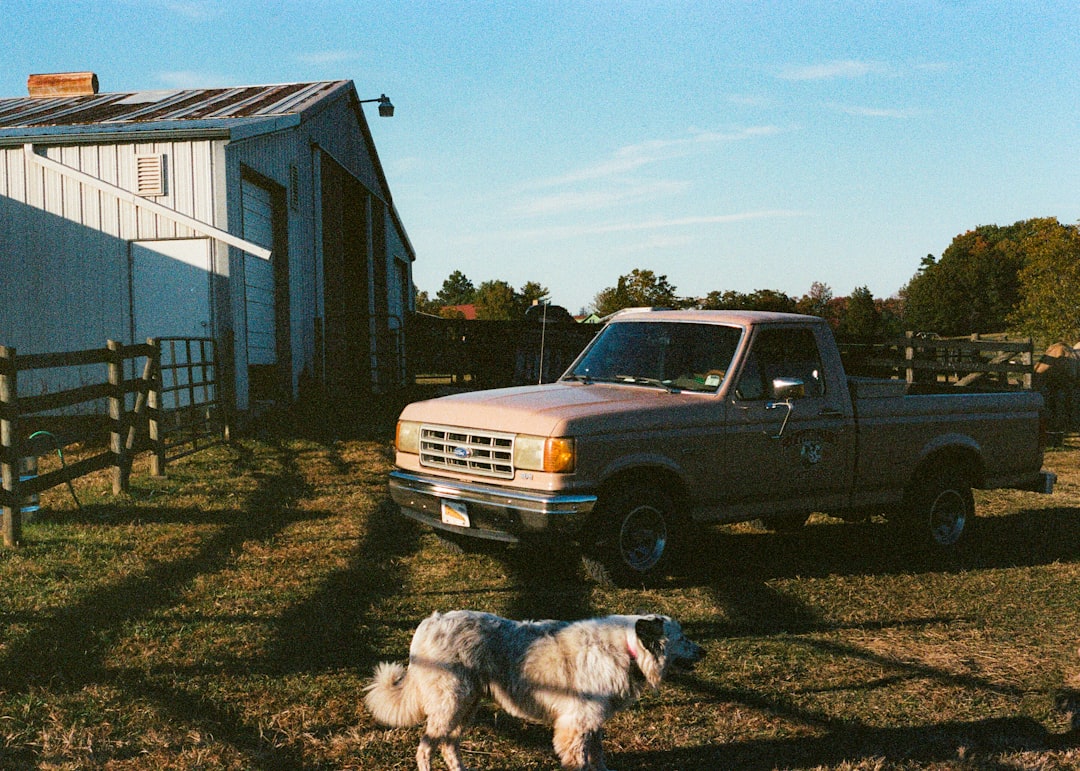 'Truck'
