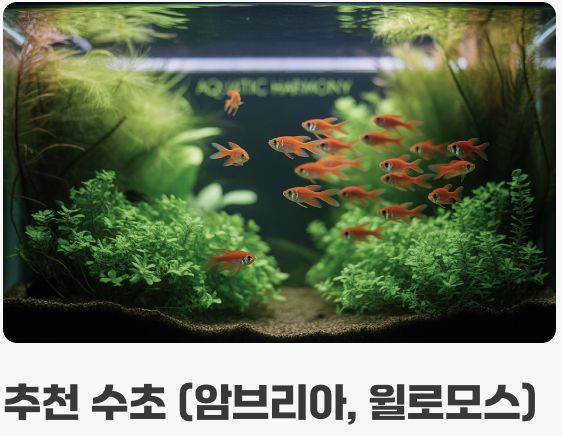 수초, 최고의 '놀이터'이자 '안식처'