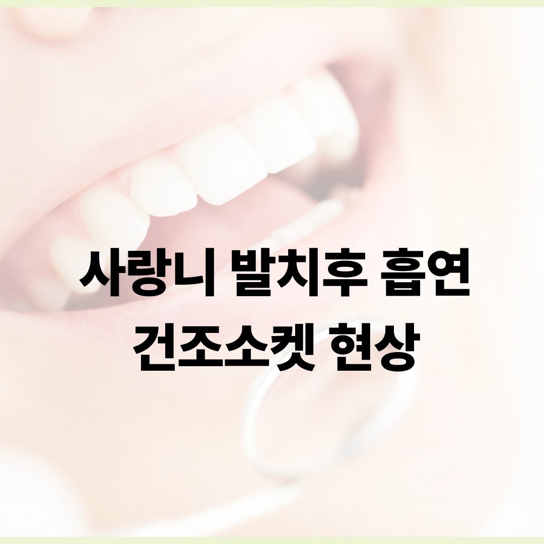 사랑니 발치후 흡연 건조소켓
