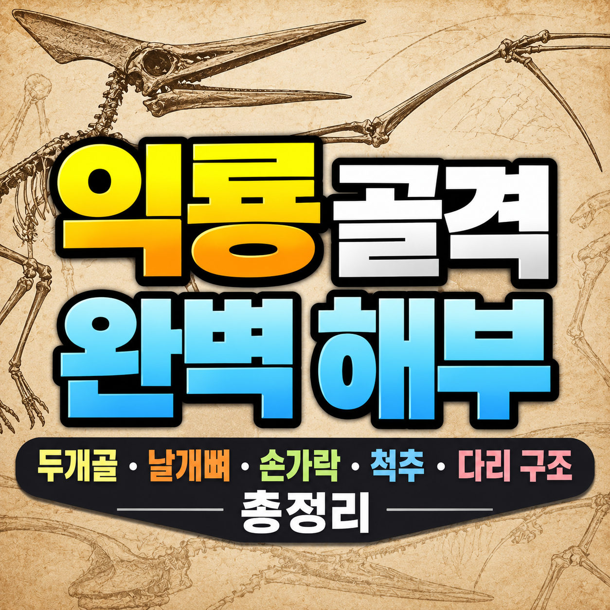 익룡 골격