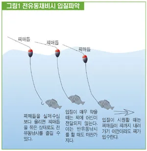 낚시 입질이 끊길 때 대응법 미끼 교체 채비 조정 이동 팁_4